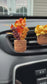 Fall Autumn Plant Vent Clip Car Air Freshener Diffuser | Reusable & Handmade in the USA