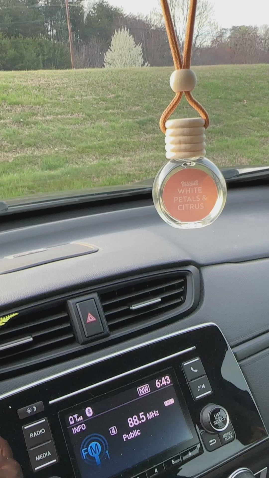 Hanging Car Air Freshener